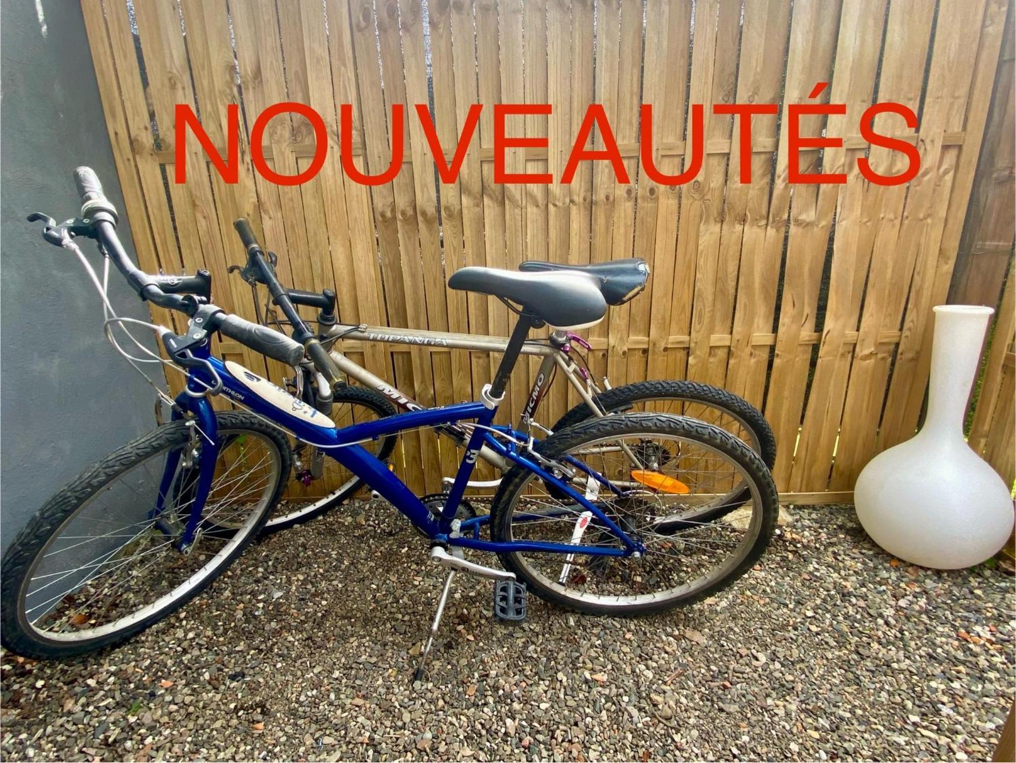 Petite Maison Au Calme Avec Jardin Cloture Les Animaux Bienvenue Mollau Extérieur photo